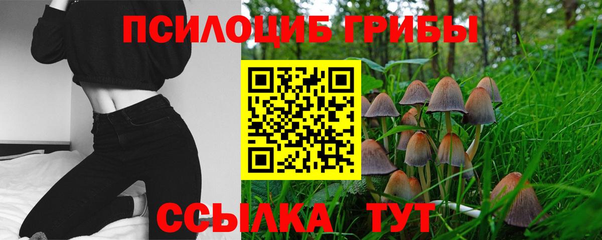Псилоцибиновые грибы Cubensis Жигулёвск