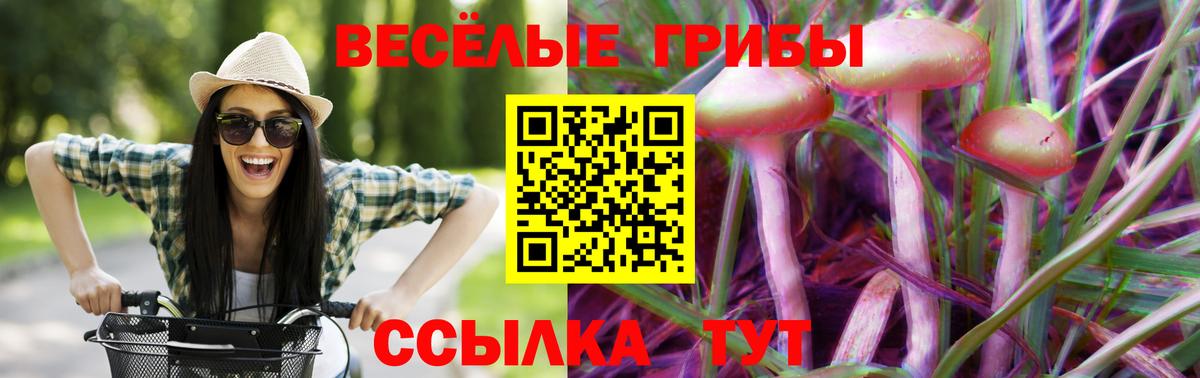 Жигулёвск  Галлюциногенные грибы GOLDEN TEACHER  Вход с VPN 