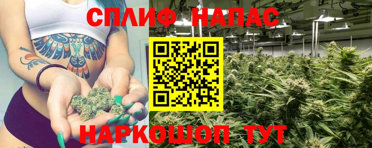 Марихуана сатива Жигулёвск